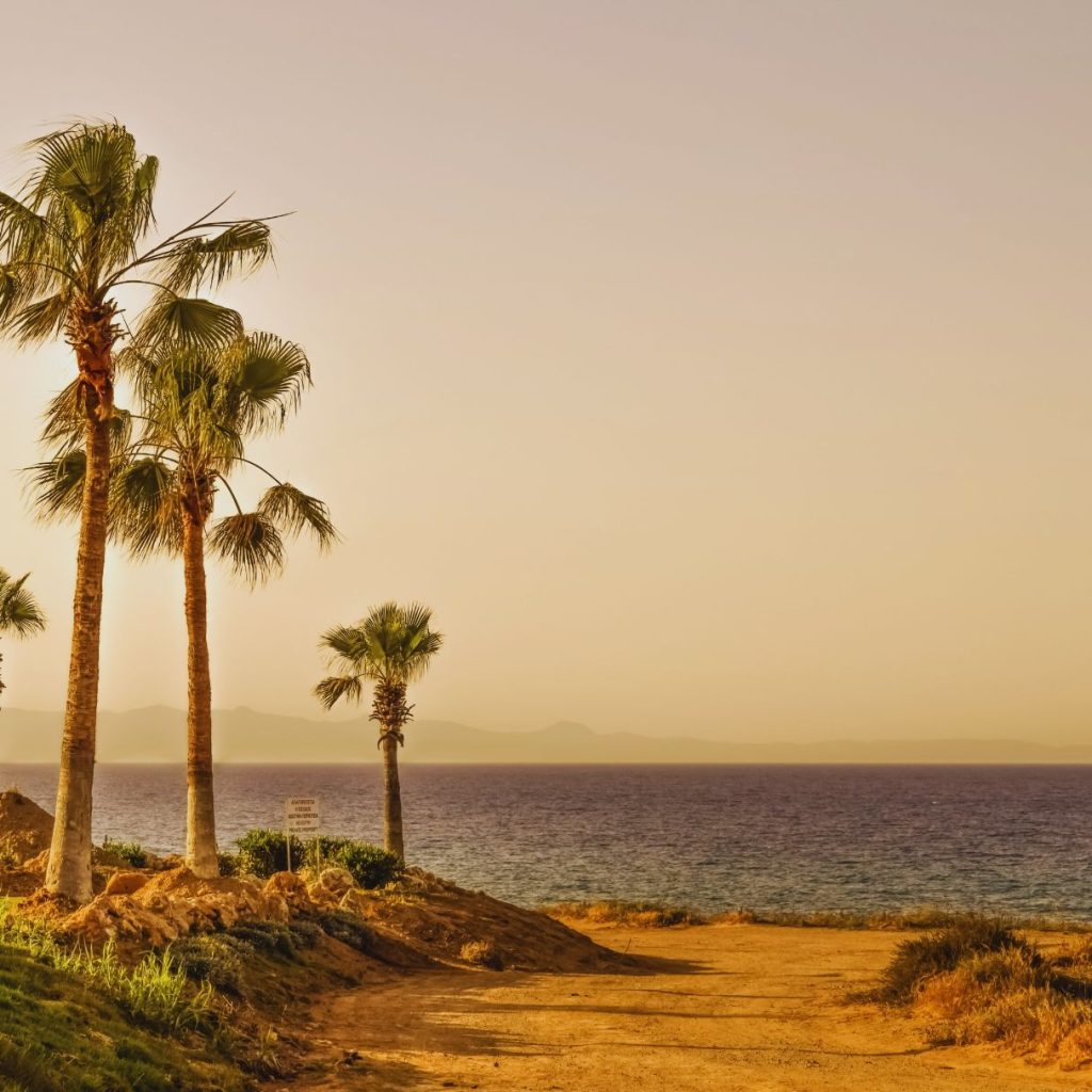 palm springs road leading to the water with palm trees and a sepia filter