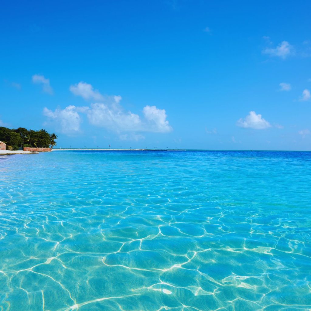 clear blue water of the florida keys with a blue sky and palm trees in the distance